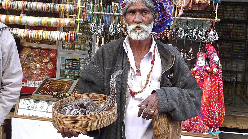 2011 12 10 Pushkar charmeur de serpent