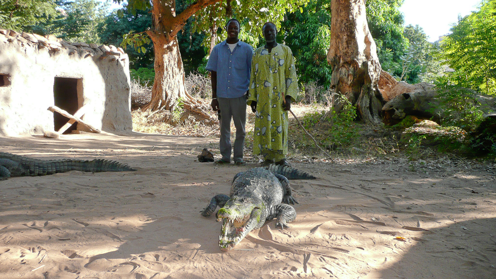 Crocodile sacré avec son gardien et Baba