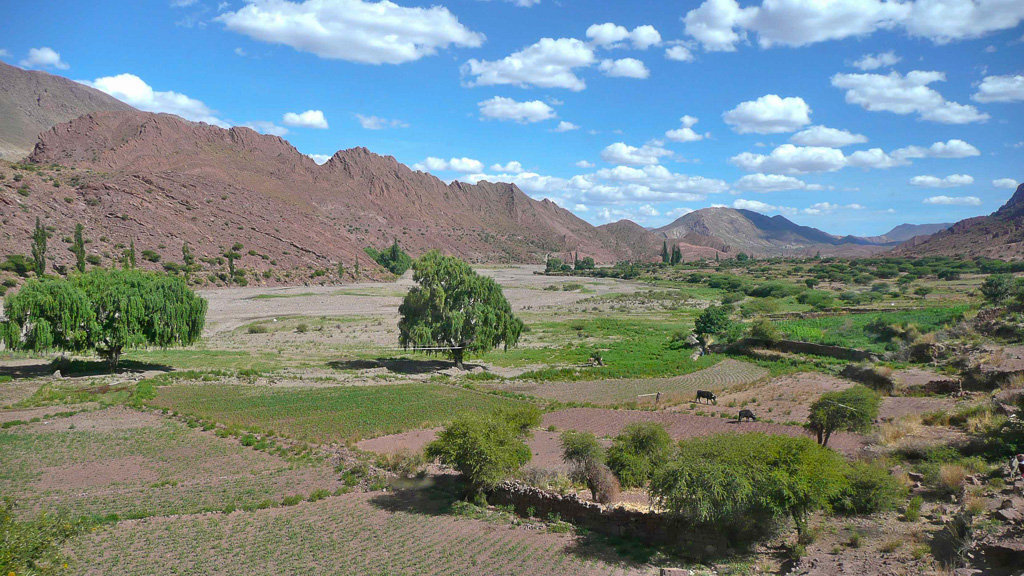 Bolivie sur la route d'Uyuni