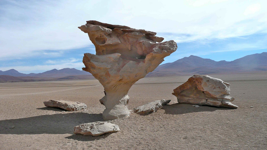 Bolivie Sud Lipez l'arbre de pierre