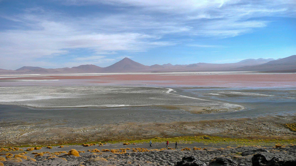 Bolivie Sud Lipez Laguna Colorada