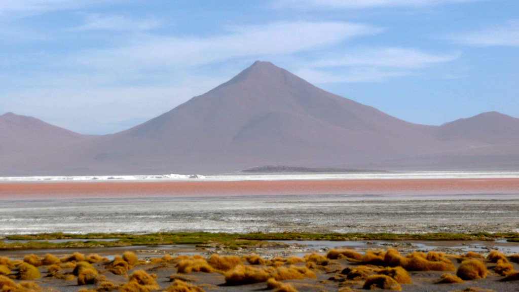 Bolivie Sud Lipez Laguna Colorada