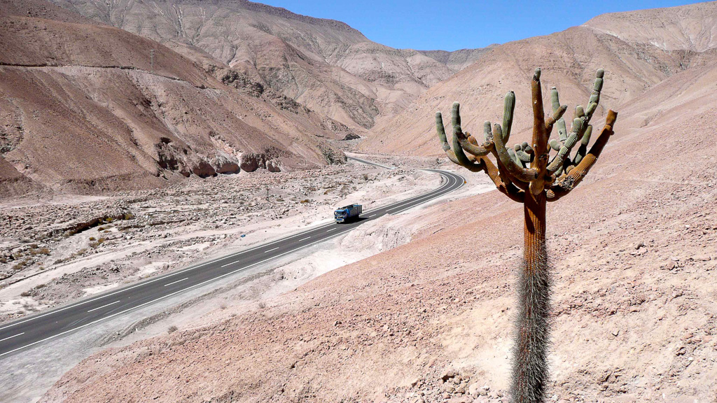 Arica-Putre route des Andes