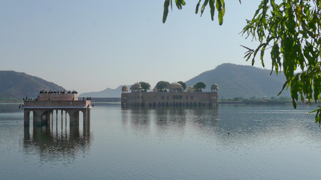 Jaipur le lac.