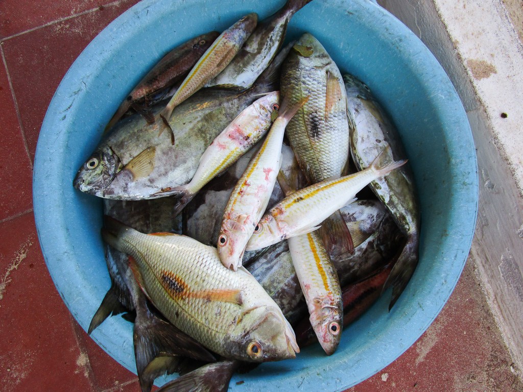 Madagascar la pêche