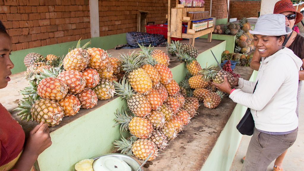 Madagascar arrêt ananas