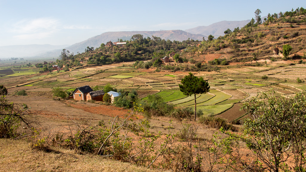 Madagascar Manandona rizières