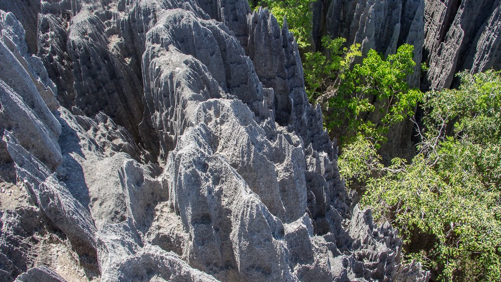 Madagascar Tsingy Bemaraha
