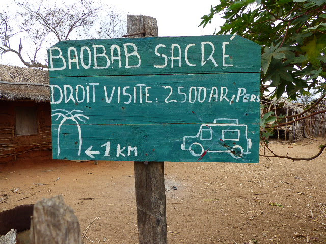 Madagascar Ankevo Baobab sacré