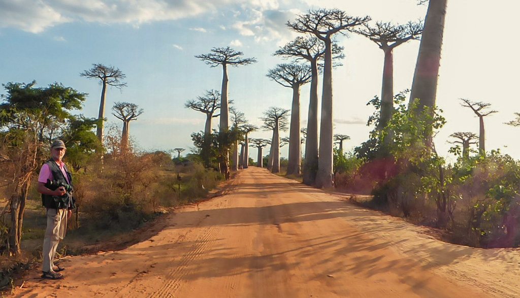 Madagascar Baobabs coucher de soleil