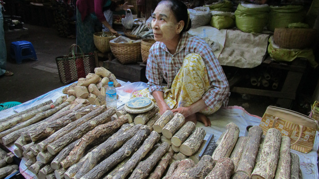Bagan le marché femme vendeuse de Thanaka