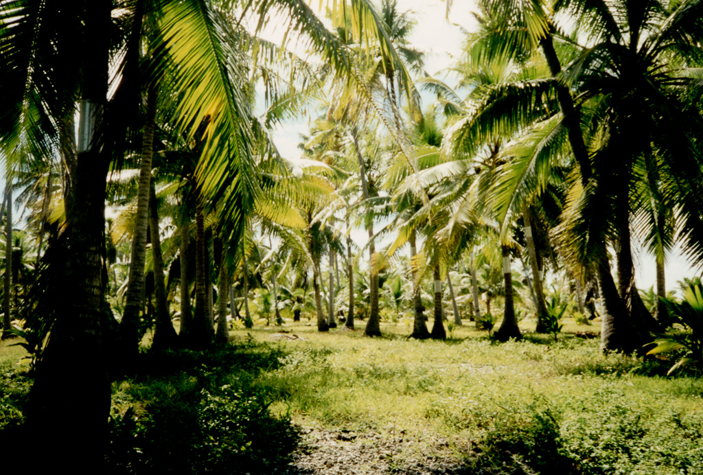 Tuamotu île de Takapoto.