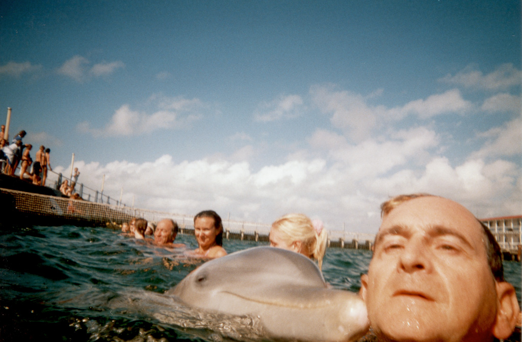 baignade avec les dauphins
