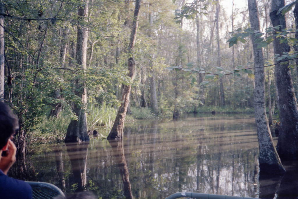 Nouvelle Orléans plantations et bayous